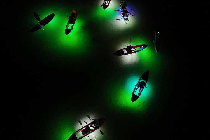 Night Mangroves LED Tour on a Glass Bottom Kayak - Photo 1 of 6